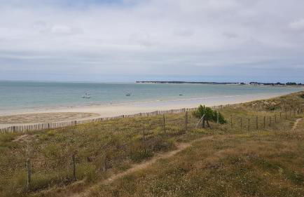 Appartement Le Beach31 à 200m de la plage, 1 chambre - Foto 16