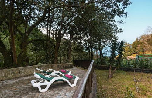 A refuge in nature - Chalet D'Avó Teresa - Foto 32