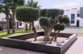 Punta Prima & Oasis Beach apartment - Foto 65