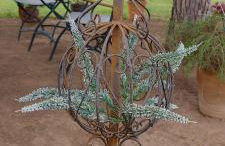 Pfalz-Apartment Mein Chalet - Einzigartig in Großkarlbach - Foto 39