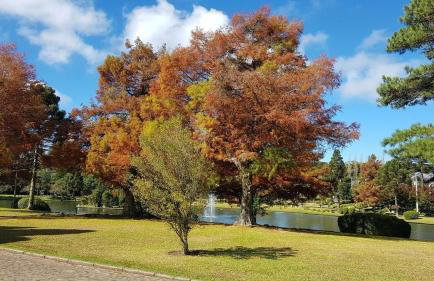 Espetacular Flat no Mountain Village - Foto 65