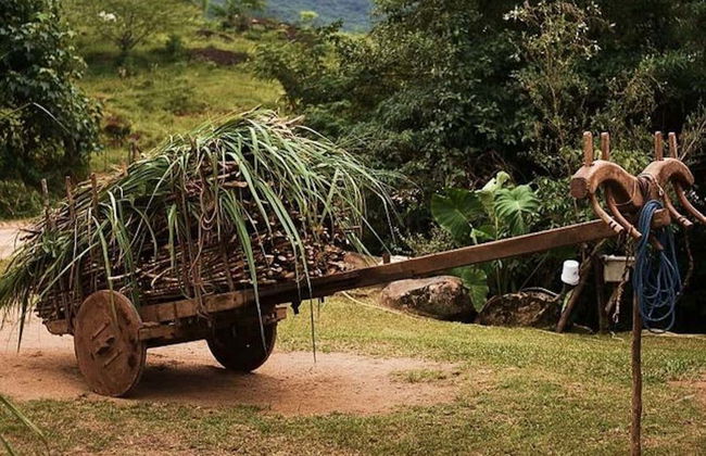 Garopaba Cachaça Tour - Photo 2