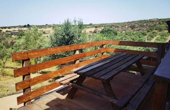 la corte degli ulivi - Foto 42