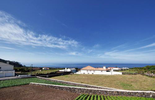 Melo's Place - Photo 25