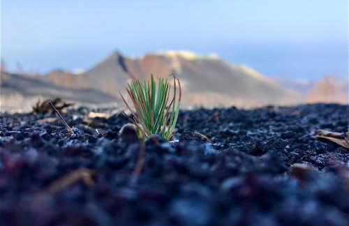 Casita La Rosa - Foto 68