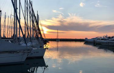 App Sorgo - Photo 63