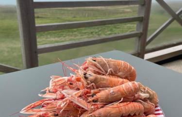 2 Chambres face à la mer En terrasse La Naturelle - Foto 64