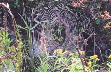 Catskill Cabin Duplex Apartment - Foto 30