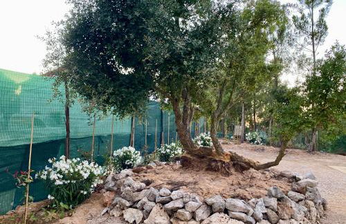 Montum Farm Living - Foto 40