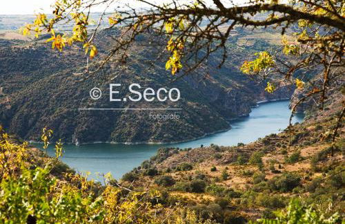 Antiguo Casino de los Arribes - Photo 69