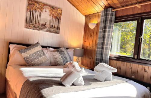 Snowdrop 10-Hot Tub-Woodlandlodges-St Clears-Pembrokeshire - Foto 7