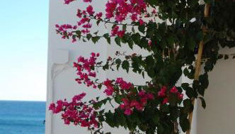 Fantastica casa in stile mediterraneo - Al Ficodindia - Foto 2