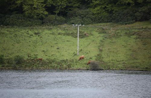 Clovullin Croftview Pod - Photo 14