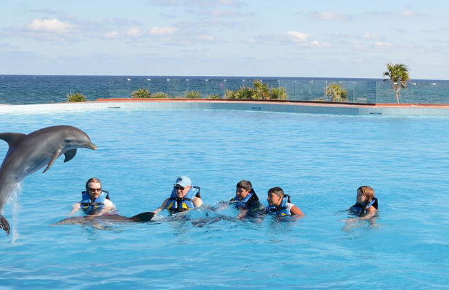 Delfin-Begegnung im Grand Sirenis Akumal - Tulum - Foto 4