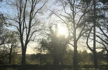 Log cabin rural retreat in beautiful countryside - Foto 19