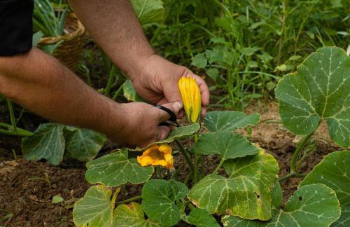 Votsalo Seaside - Foto 19