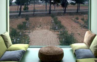 Finca Luz de Alba - Photo 74