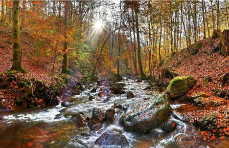 Ferienwohnung HERZALLERLIEBST - Foto 43
