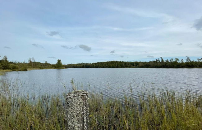 6 Person Holiday Home in Asarum-by Traum - Photo 33