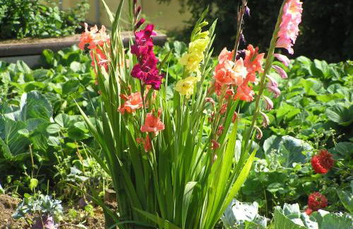 Eifelferienkurth - Photo 59