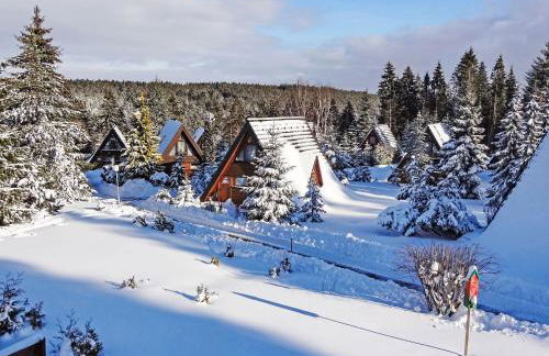 Holiday Home Tennenbronn-5 by Interhome - Foto 1