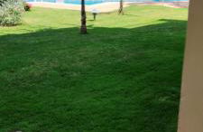 Ground floor with view by Bev - Foto 22