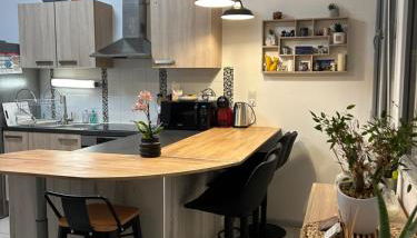 Duplex 65m2 lumineux avec vue sur le chateau 3 étoiles - Foto 4