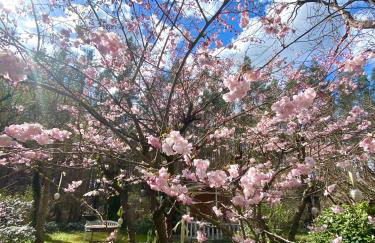 Studio im Haus Amselgarten - Foto 14