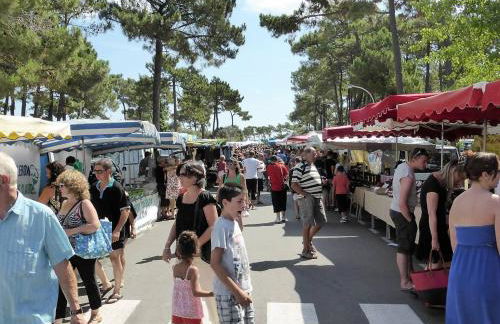 La Palmyre - MAISON INDIVIDUELLE - au CALME - PROCHE FORET - Foto 24