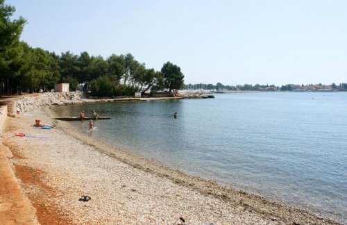 Apartments with swimming pool Motovun - Bataji, Central Istria - Sredisnja Istra - 7069 - Foto 5