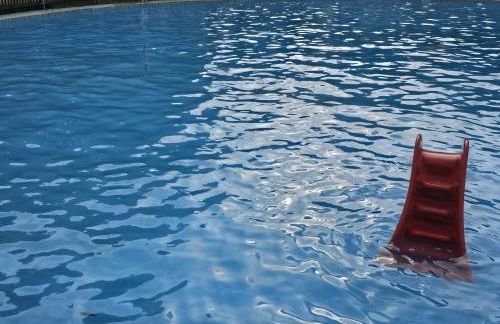 Alte Bibliothek - Foto 44