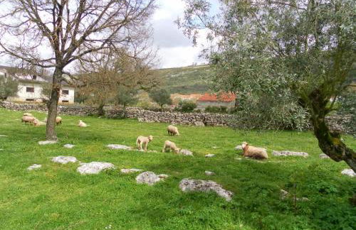 Retiro Da Avo Lídia - Turismo Rural - Foto 26