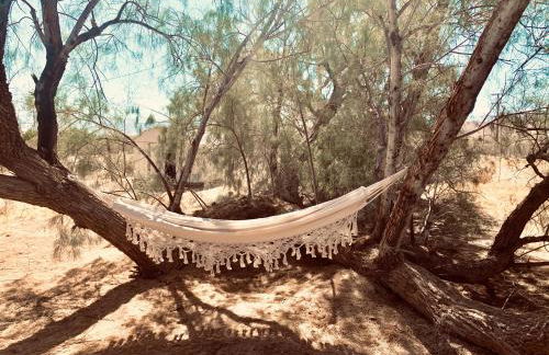 Casa Agave: Comfy Joshua Tree Cottage With Free Breakfast Bar - Foto 22