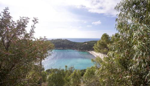 Costa Ovest - Goelba - Foto 2