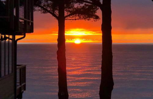 Gorgeous Oceanview, by OceanviewHotTubs Oceanfront! Shelter Cove, CA Tesla EV Station - Foto 15