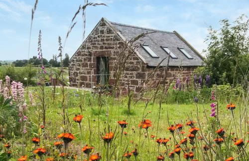 The Old Mill - Foto 16