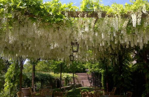 Castello di Fighine - Foto 36