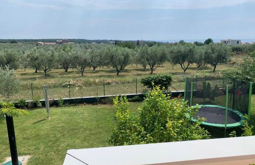 Apartments Rosa - Foto 9