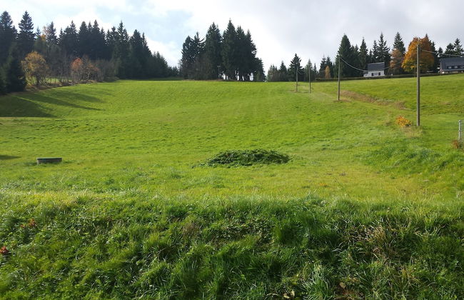 Ferienhaus am Skihang - Foto 38