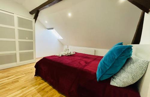 Violet Apartment by Alex Rafael - Photo 15