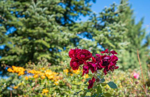 Livadi cozy villa - Foto 31