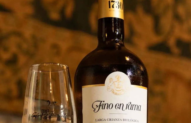 Visita a las Bodegas Álvaro Domecq - Foto 11