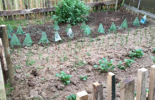 Naturerlebnis direkt am Traumpfad - Photo 5