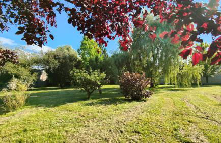 le gîte du lac - Foto 13