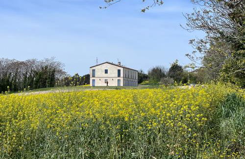 La Collina sul Mare - Foto 13