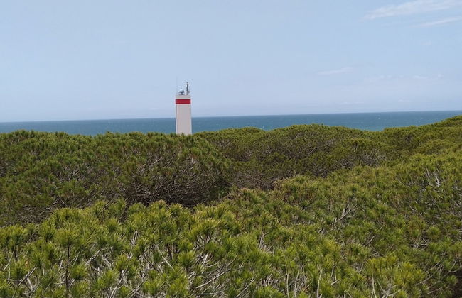 Villa Malyma Zahora - Beach Front Sea View - Foto 33