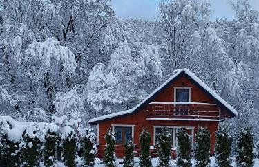 Domki wypoczynkowe - całoroczne. - Foto 7