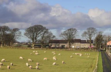 The Outbuildings - Foto 42