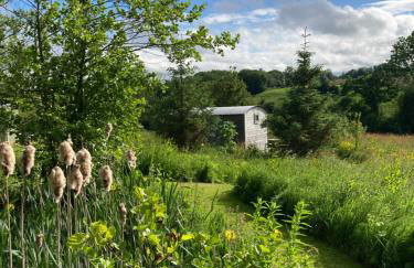 The Shepherd's Hut with cozy logburner - Foto 8
