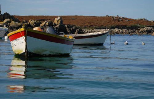 Roulotte Gîtes O bien-être massage Spa Séjour bien-être en hébergement insolite roulotte Karantez ou en gîtes Melon ou Yock à 800 m des plages - Foto 59